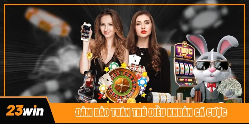 Hãy tuân thủ điều khoản và điều kiện cá cược khi tham gia tại 23win